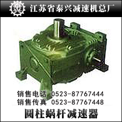 供应锥面包络圆柱蜗杆减速器